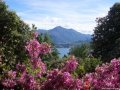 Lago Maggiore Hike 4 - View
