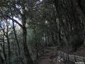 Hiking paths at Eremo delle Carceri